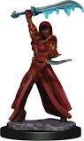 D&D Premium Figure: Human Rogue Female